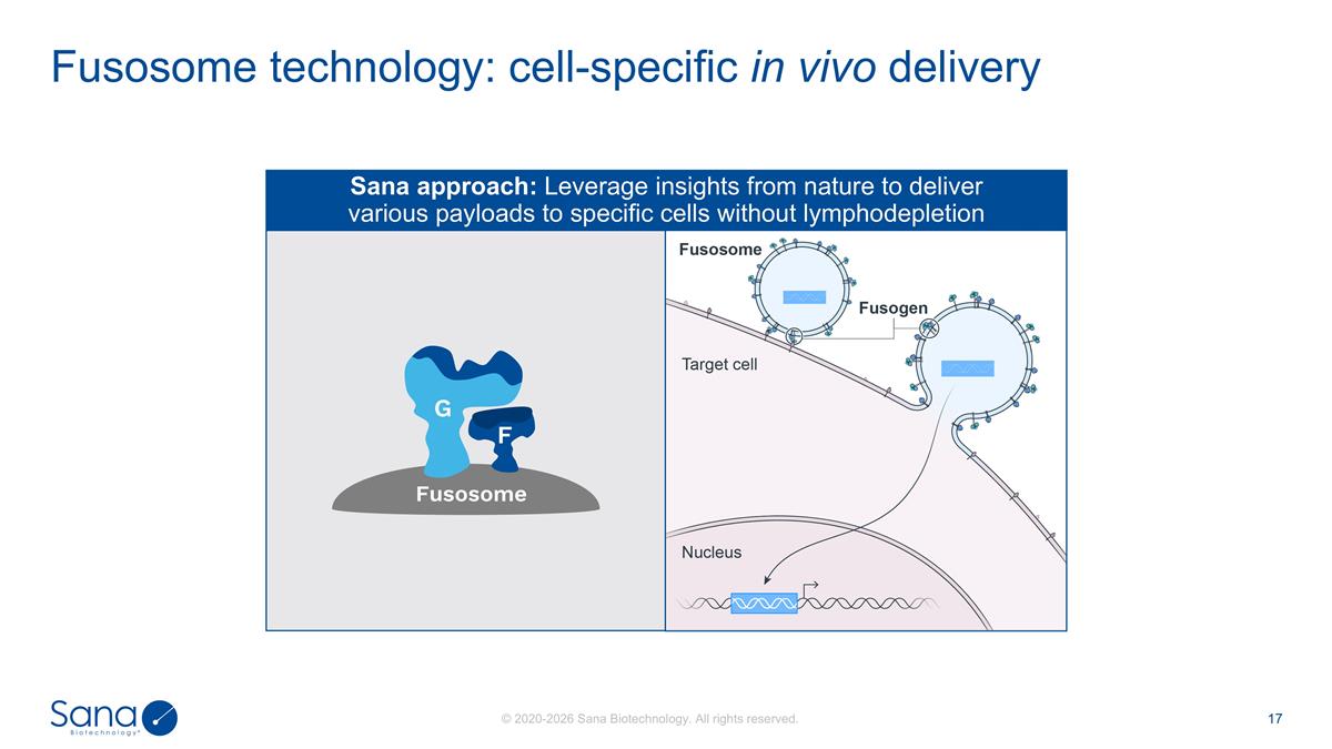 Slide 17