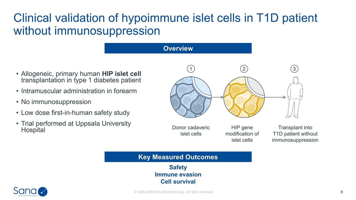 Slide 8