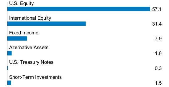 Graphical Representation - Allocation 1 Chart
