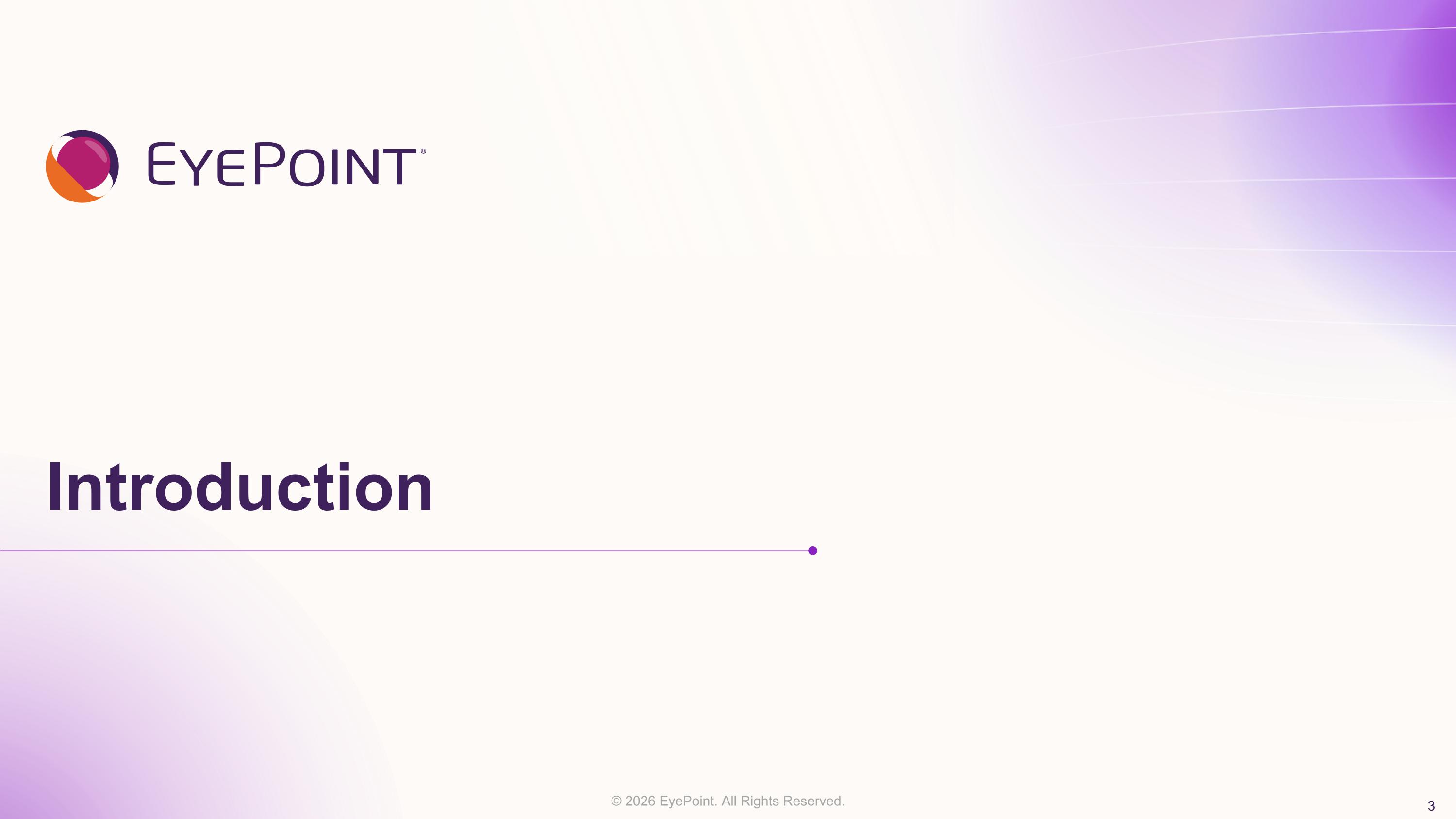 Slide 3