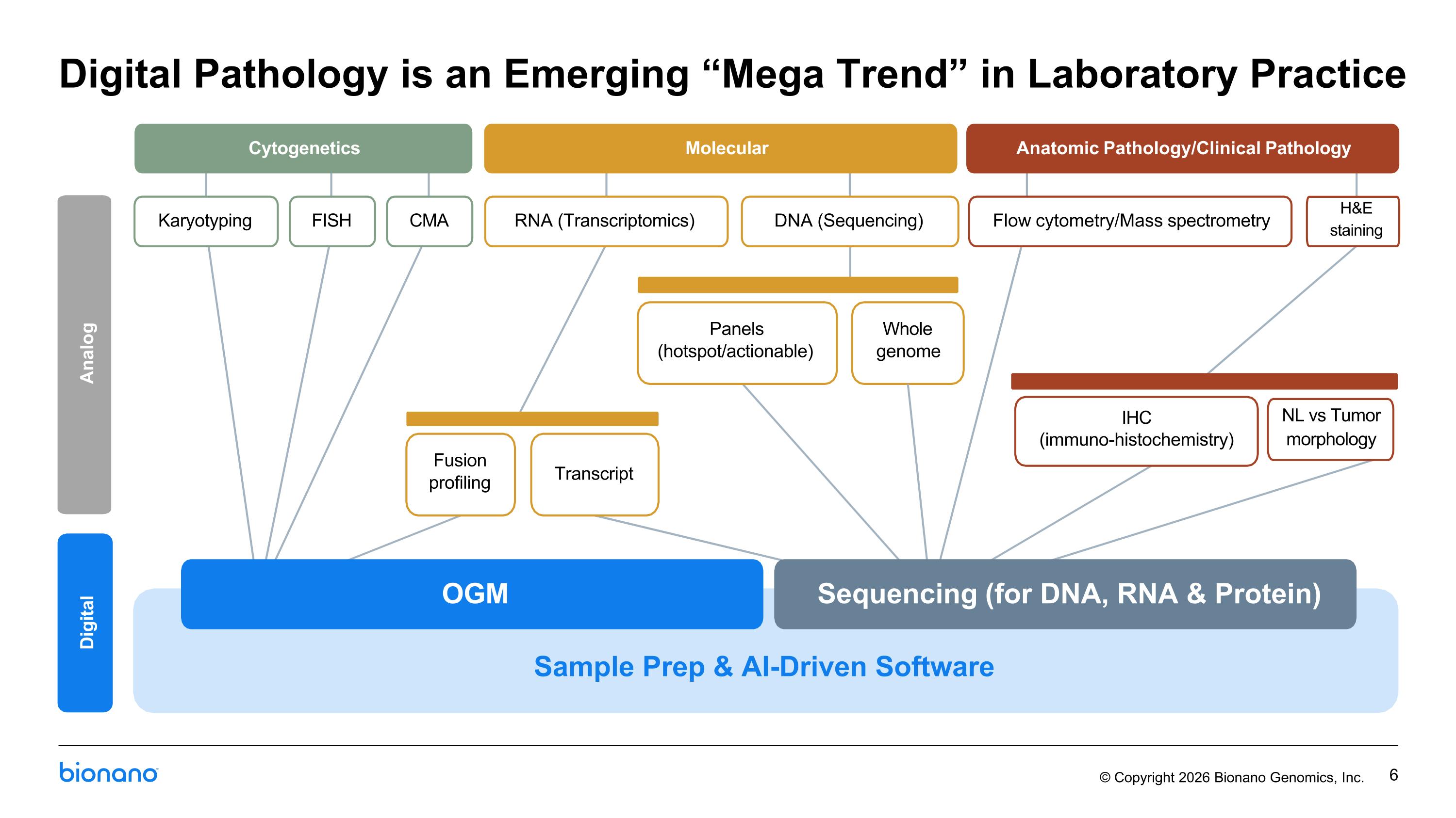 Slide 6