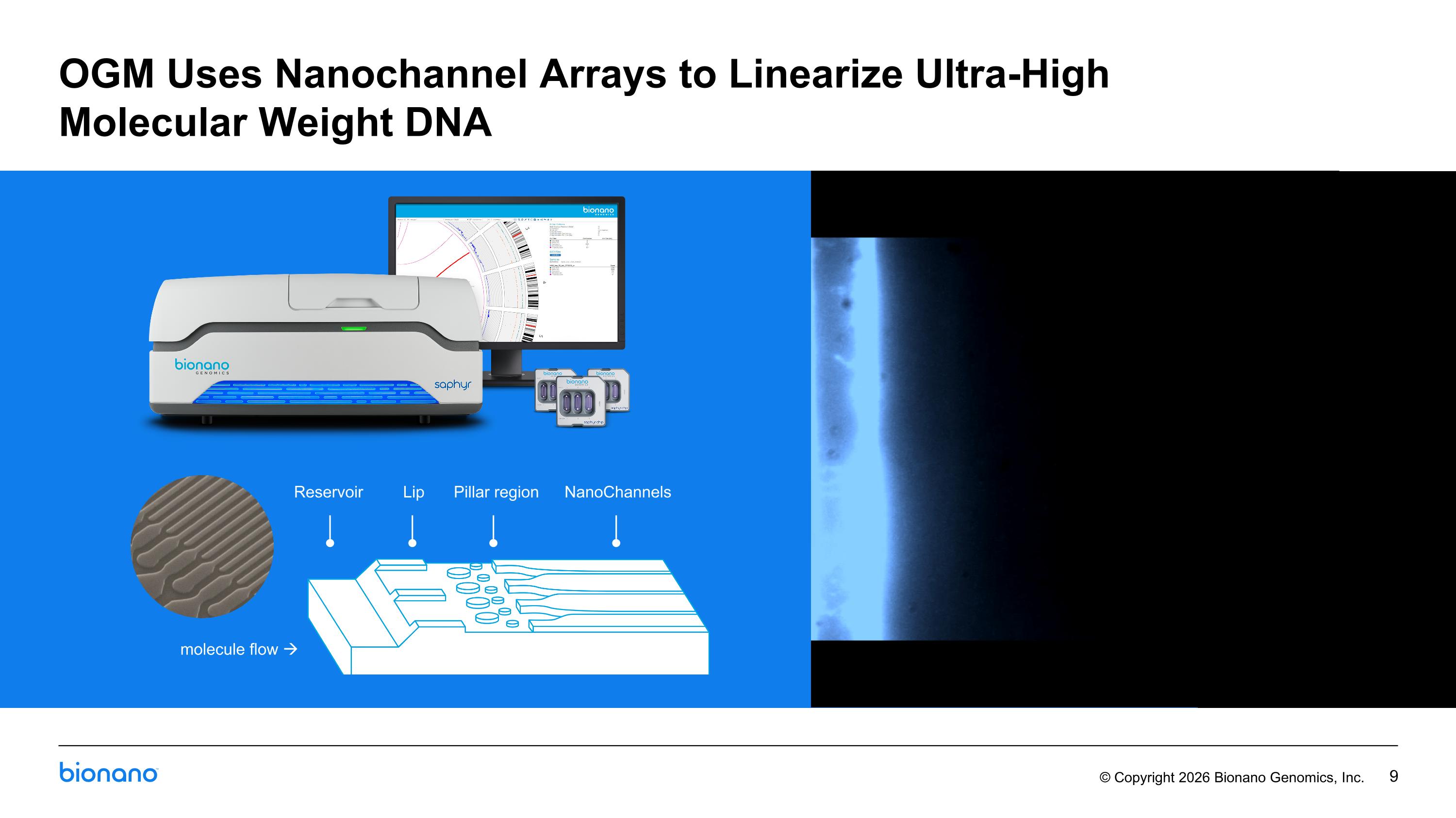 Slide 9