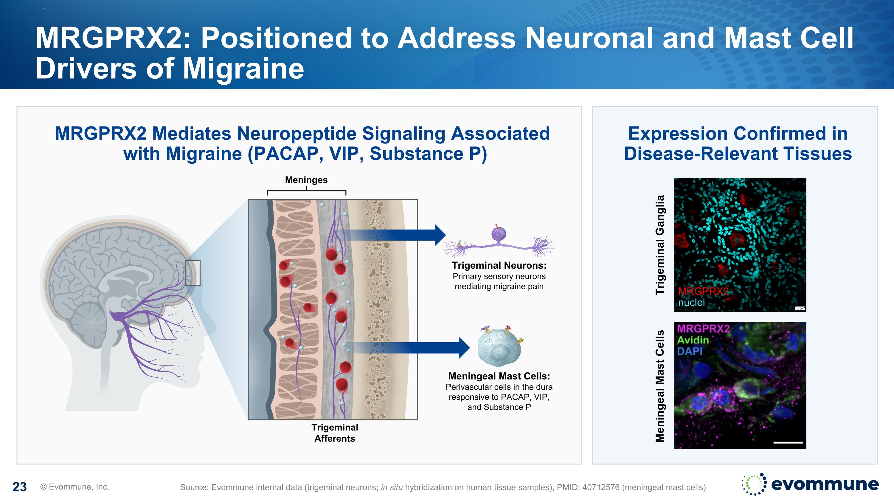 Slide 23