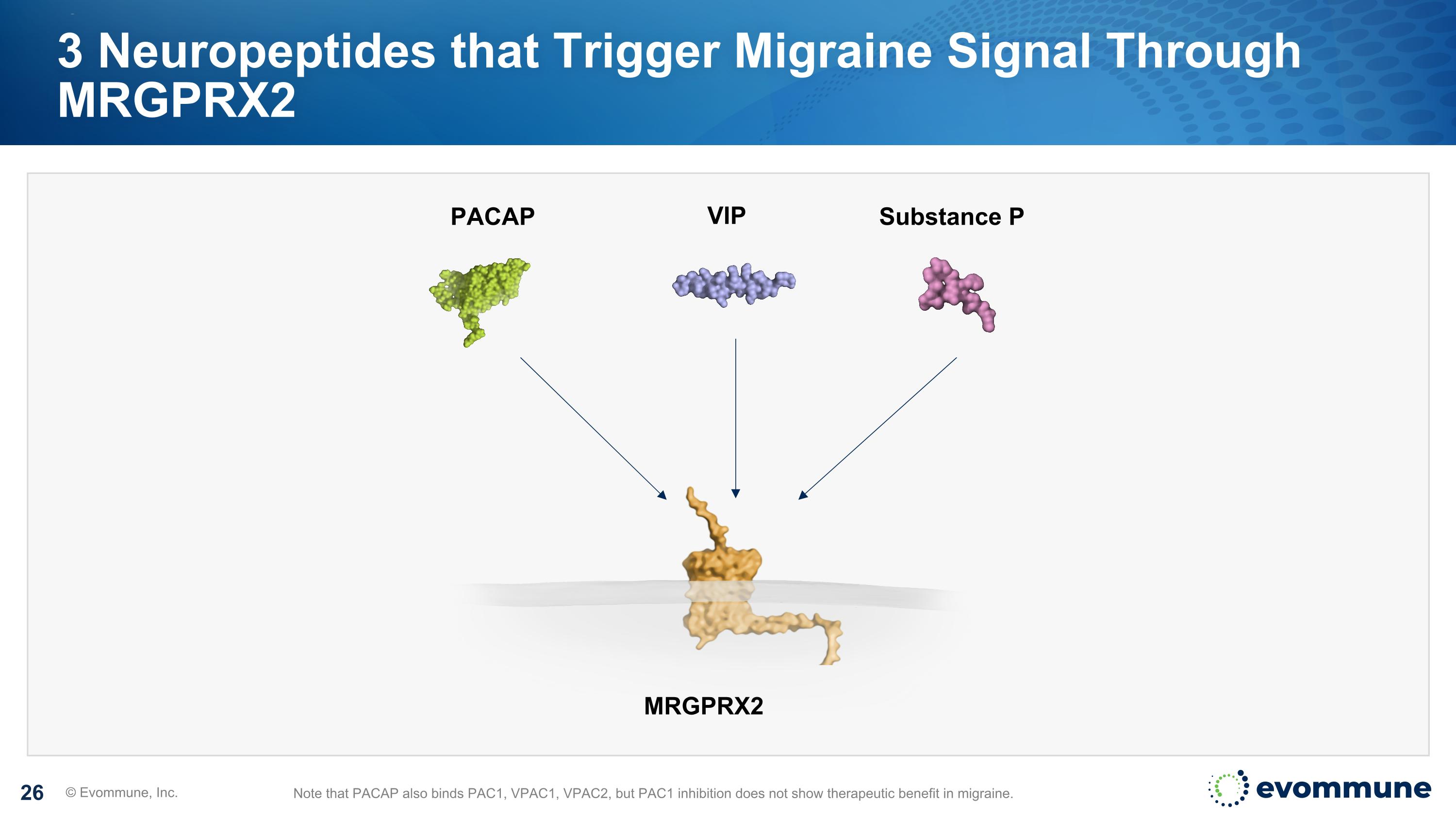 Slide 26