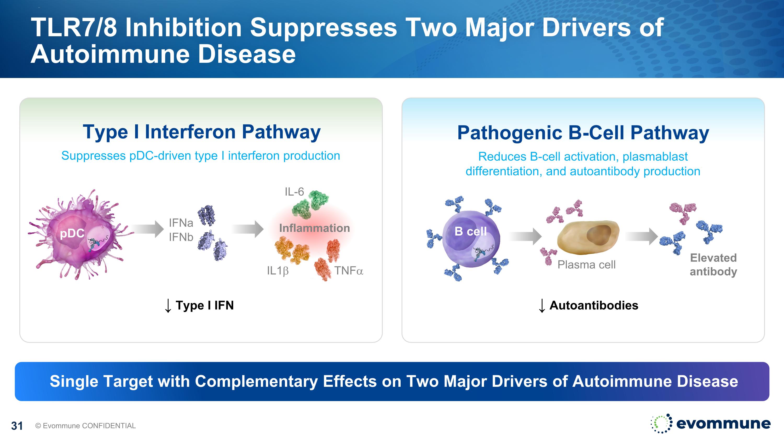 Slide 31