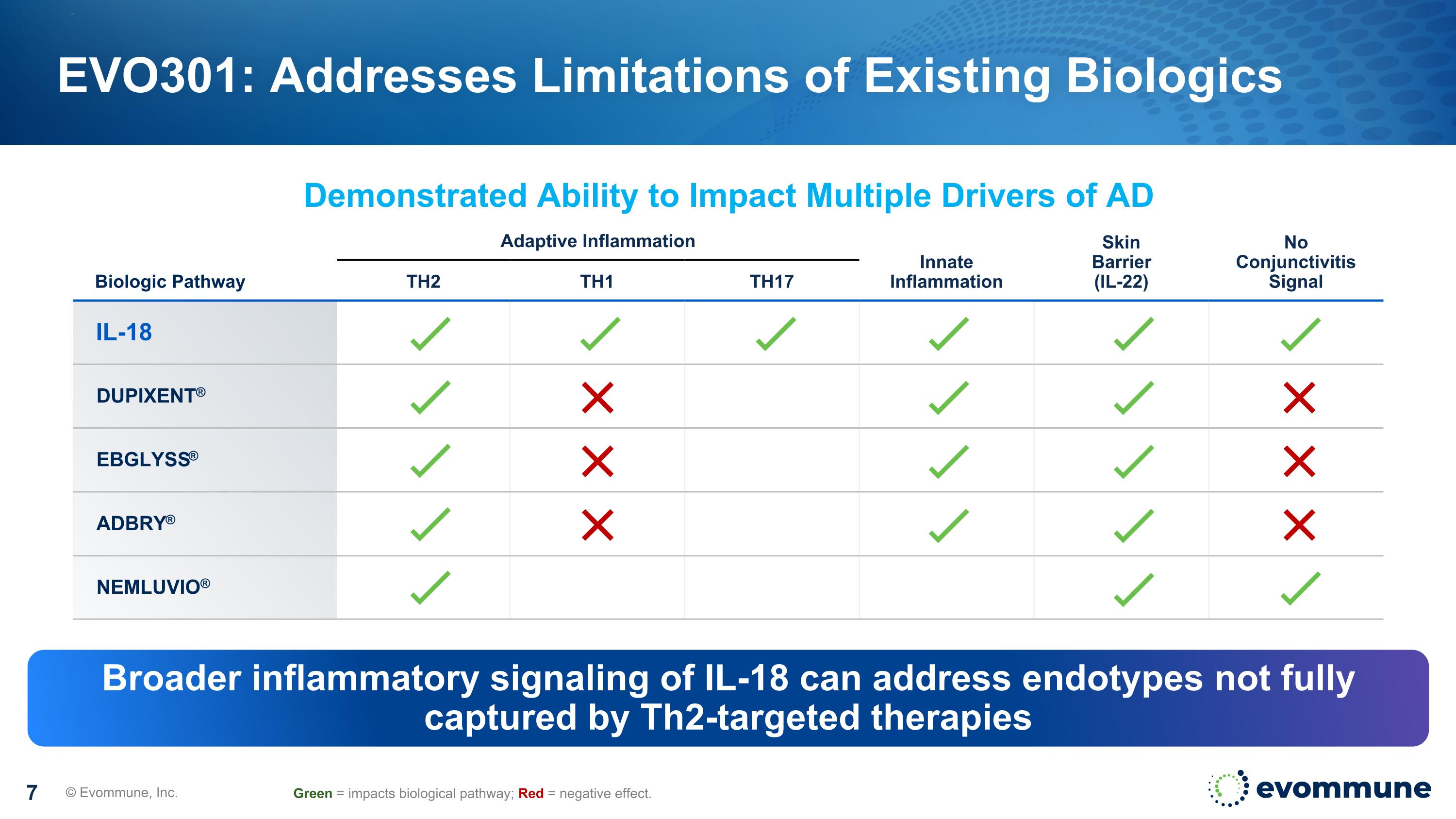 Slide 7