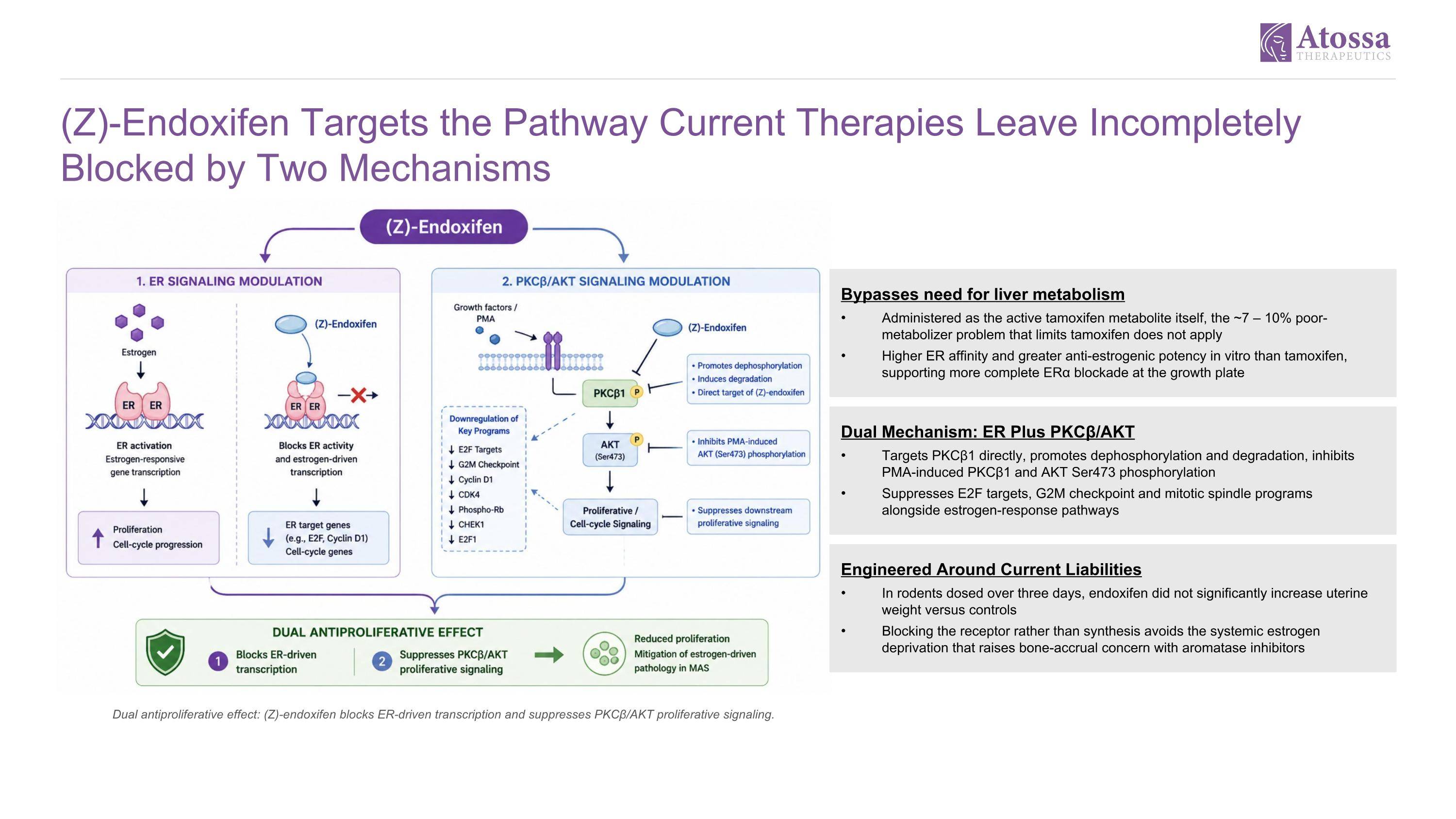 Slide 10