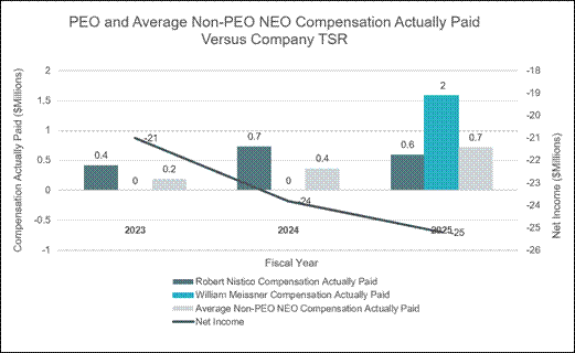 The diagram illustrates a comparison of actual paid compensation for PEO and average non-PEO NEO against company TSR for fiscal years 2023 and 2024, showing a declining trend in net income and compensation.

AI-generated content may be incorrect.