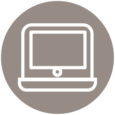 02 432963-1_icon_how to vote_gfx_icon_internet 2.jpg