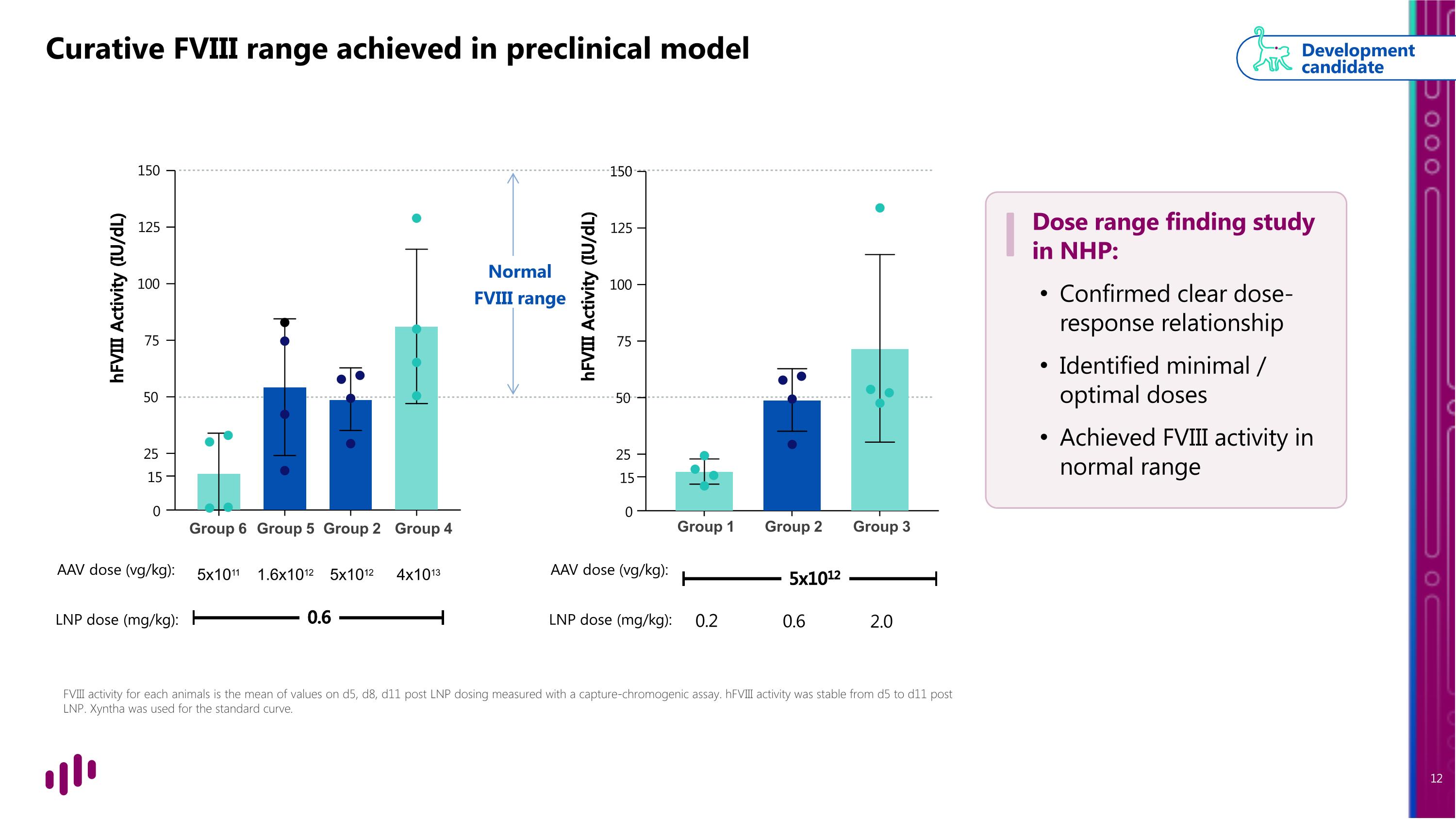 Slide 12