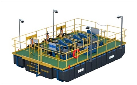 fig176.jpg