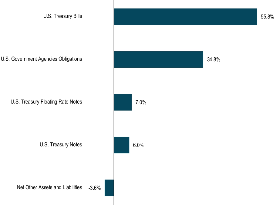 Graphical Representation - Top N Holdings Chart
