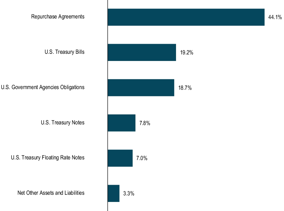 Graphical Representation - Top N Holdings Chart