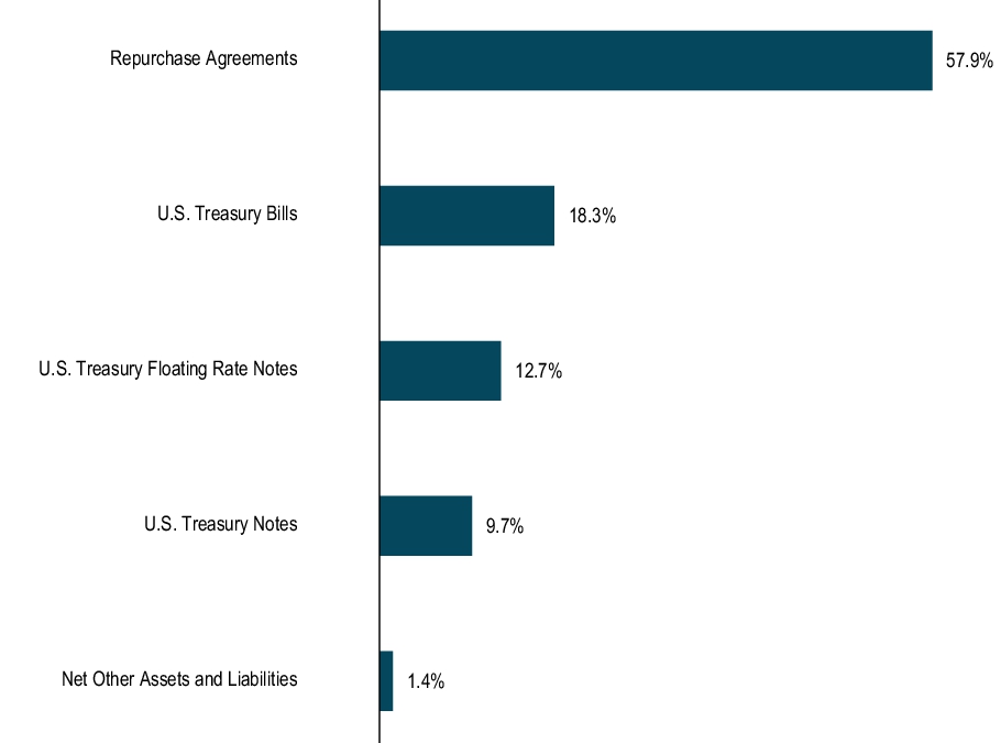Graphical Representation - Top N Holdings Chart