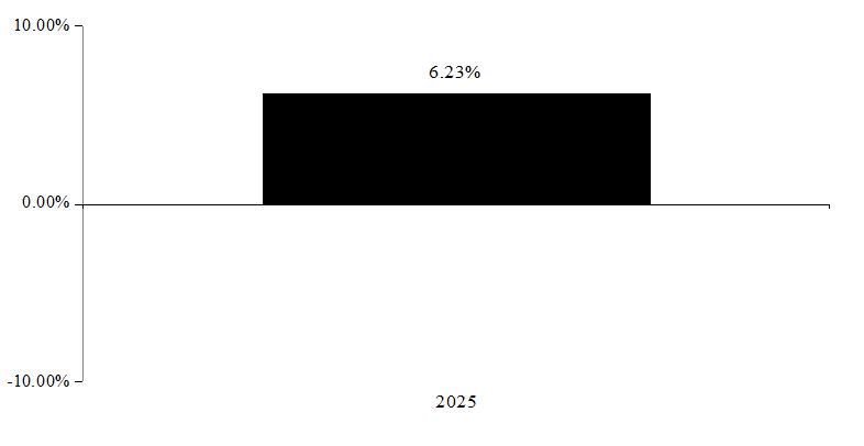PerformanceBarChartData(2025:6.23)