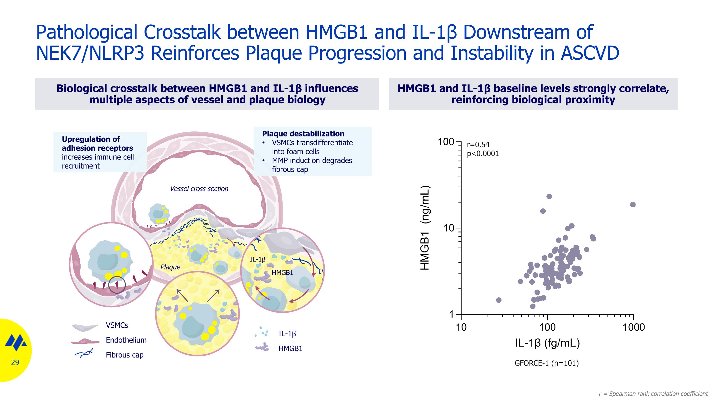 Slide 29