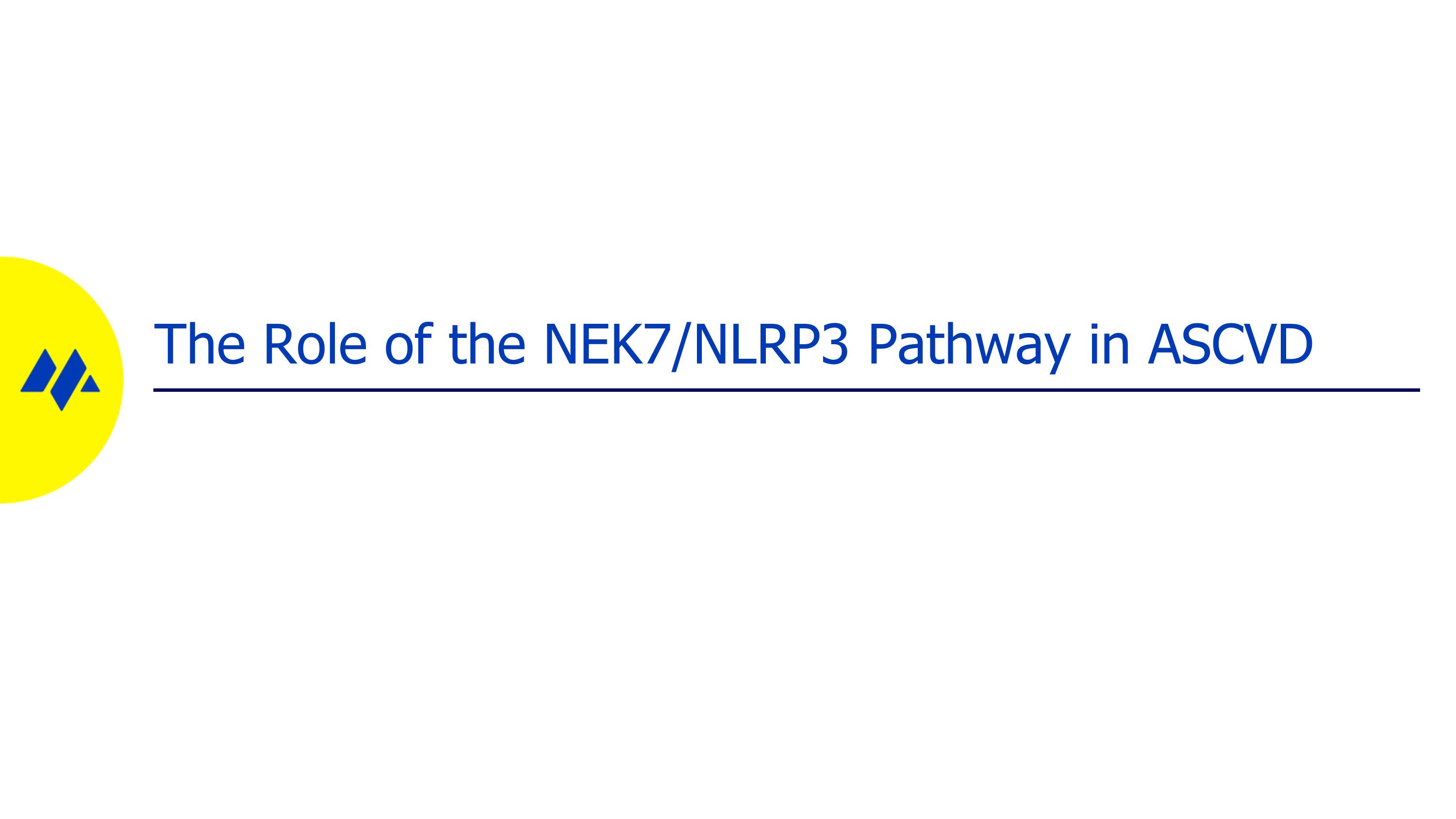 Slide 7