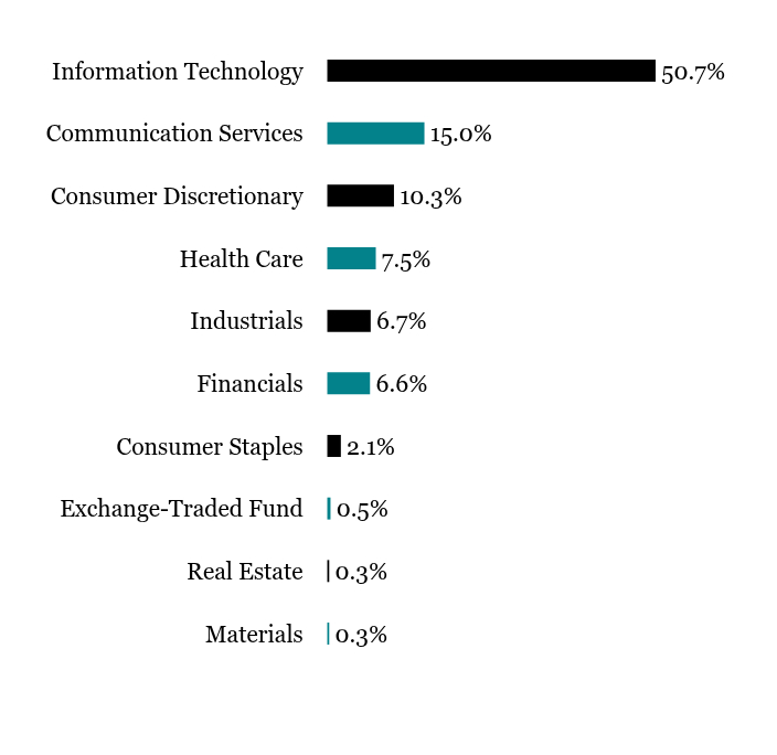 Holdings Chart