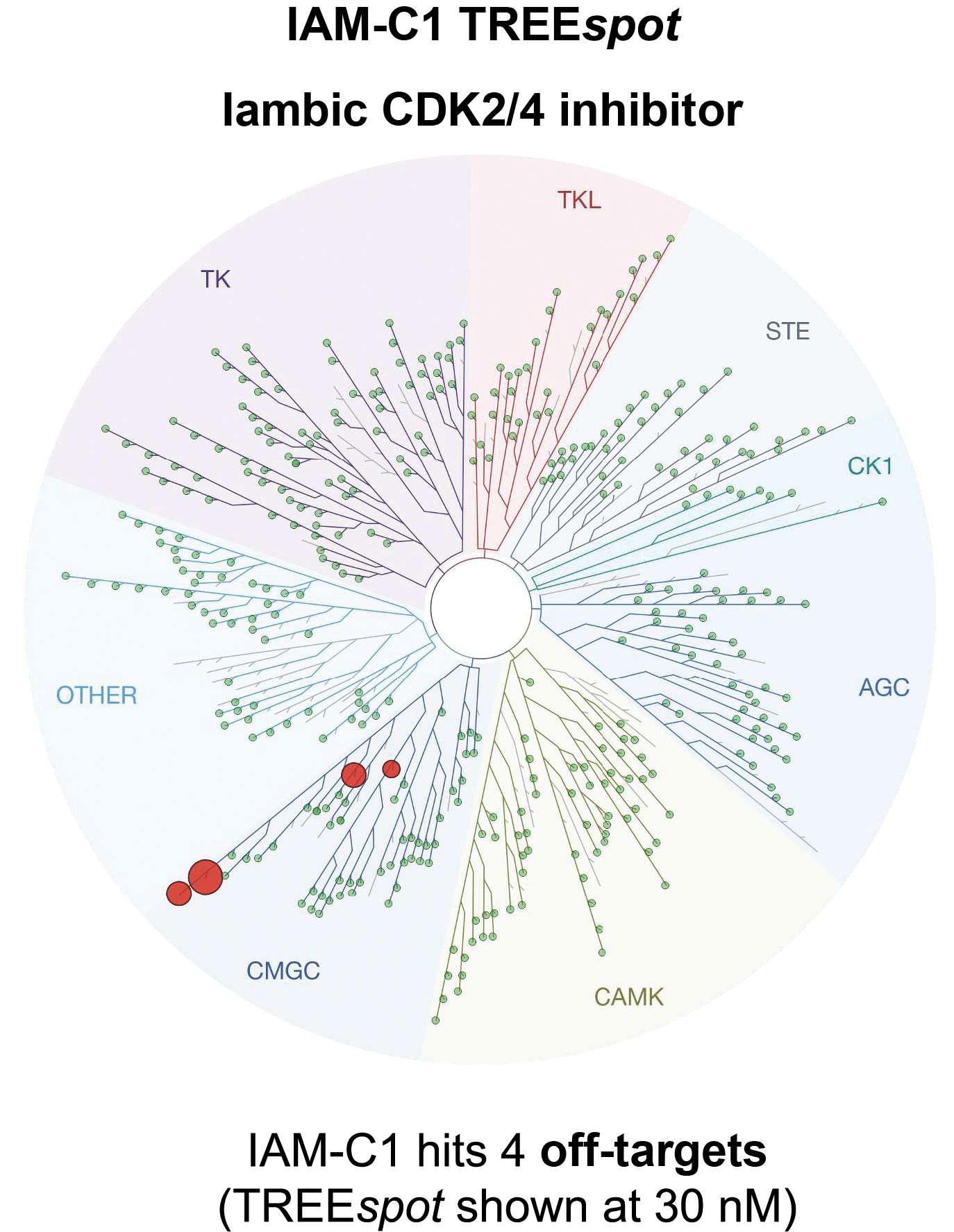 img69371476_38.jpg