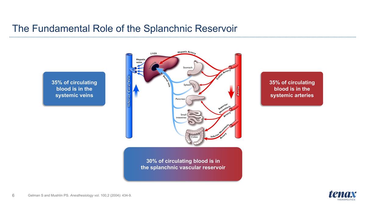 Slide 6