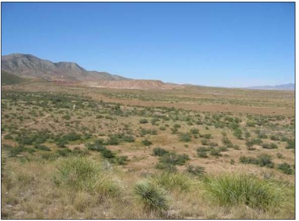 A wide view of a desert landscape
