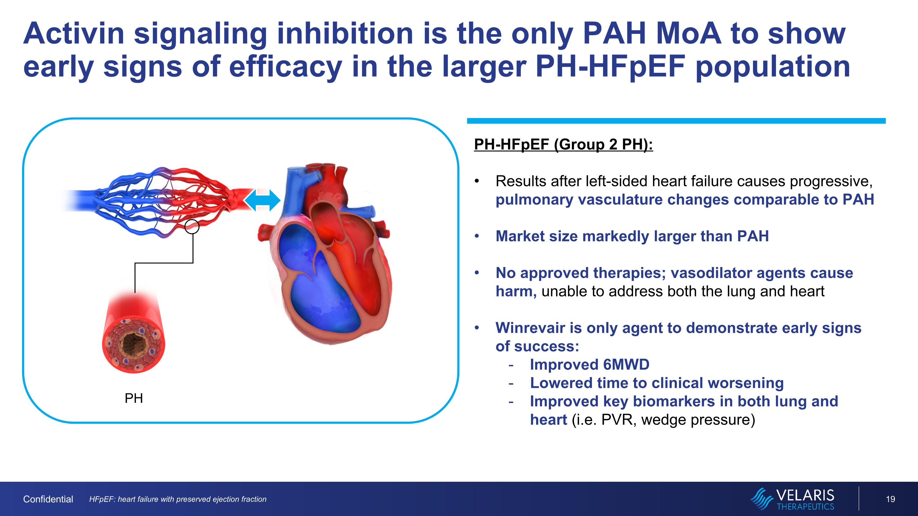 Slide 19