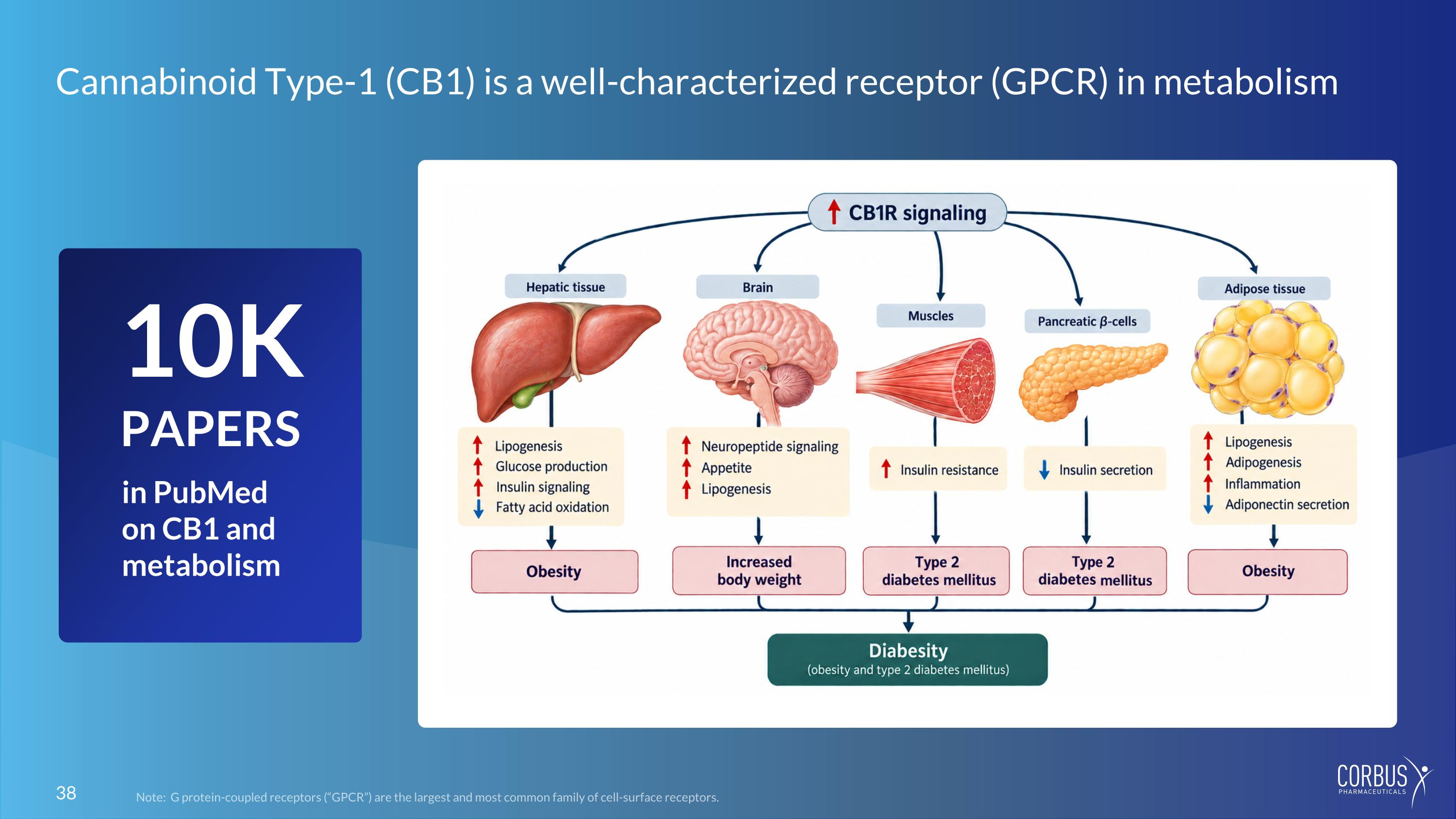 Slide 38