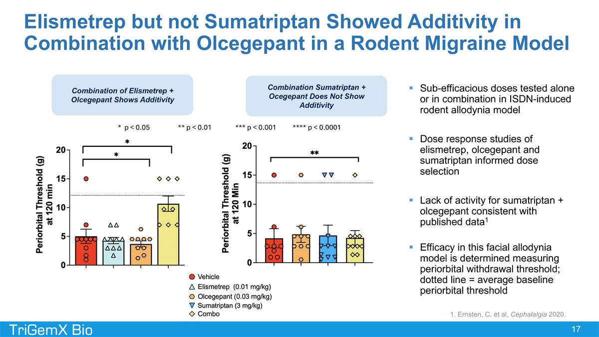 Slide 17