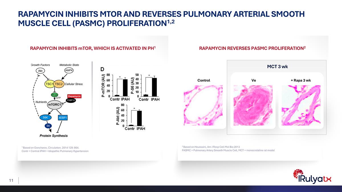 Slide 11