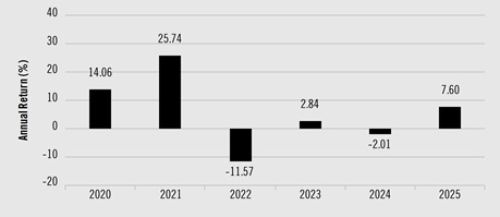 PerformanceBarChartData(2020:14.06,2021:25.74,2022:-11.57,2023:2.84,2024:-2.01,2025:7.6)