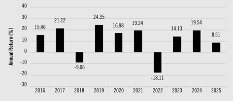 PerformanceBarChartData(2016:15.46,2017:21.22,2018:-9.06,2019:24.35,2020:16.98,2021:19.24,2022:-18.11,2023:14.13,2024:19.54,2025:8.51)