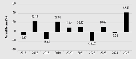 PerformanceBarChartData(2016:-6.23,2017:23.16,2018:-15.66,2019:22.01,2020:9.72,2021:10.27,2022:-19.02,2023:10.67,2024:-2.24,2025:42.41)