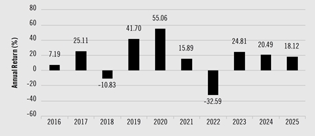PerformanceBarChartData(2016:7.19,2017:25.11,2018:-10.83,2019:41.7,2020:55.06,2021:15.89,2022:-32.59,2023:24.81,2024:20.49,2025:18.12)