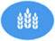 (IMAGE)