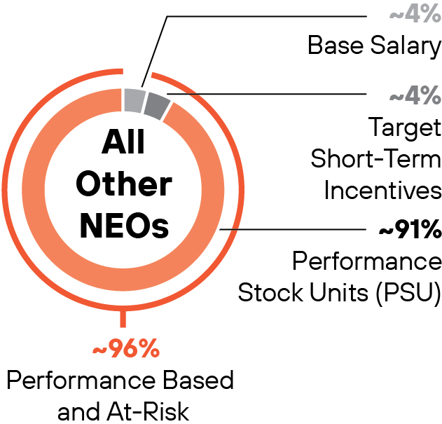 03_ PANW_Pie_Other NEOs.jpg