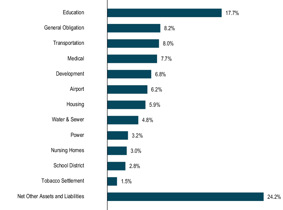 Graphical Representation - Top N Holdings Chart