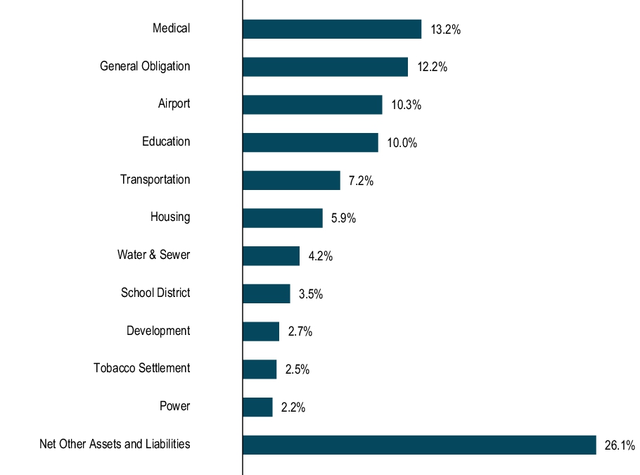Graphical Representation - Top N Holdings Chart