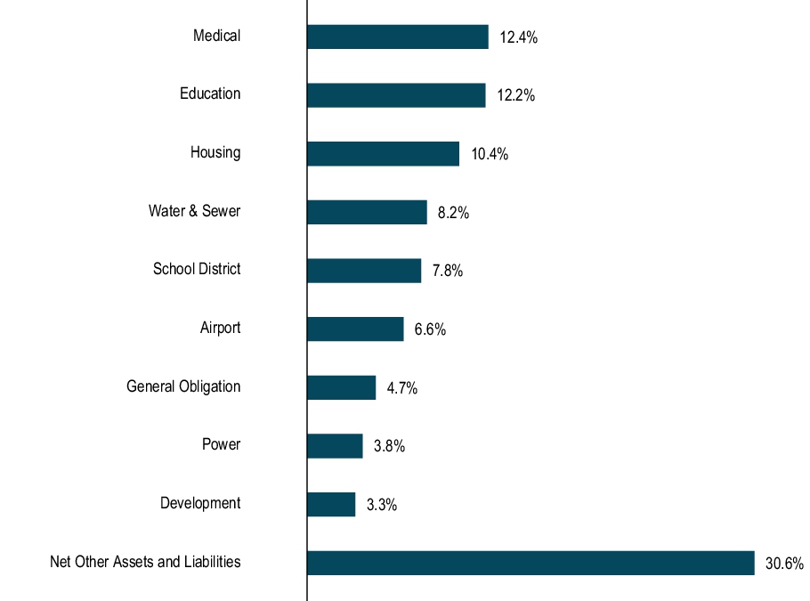 Graphical Representation - Top N Holdings Chart