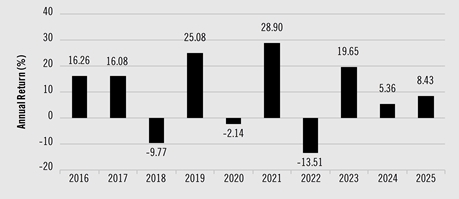 PerformanceBarChartData(2016:16.26,2017:16.08,2018:-9.77,2019:25.08,2020:-2.14,2021:28.9,2022:-13.51,2023:19.65,2024:5.36,2025:8.43)