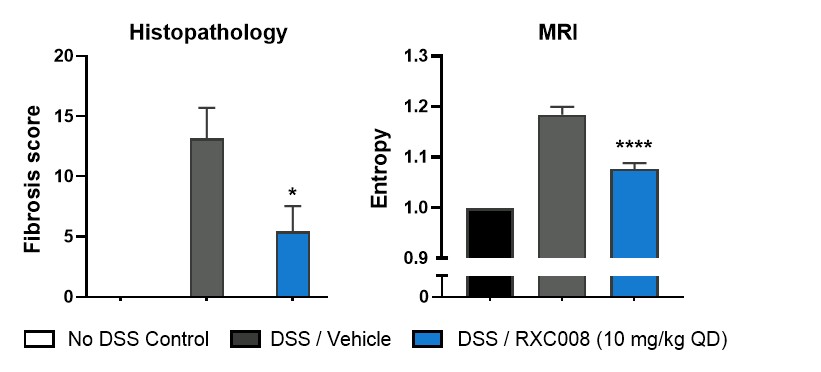 figure14.jpg