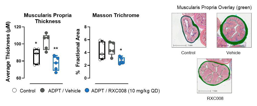 figure17.jpg