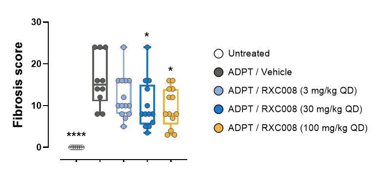 figure18.jpg