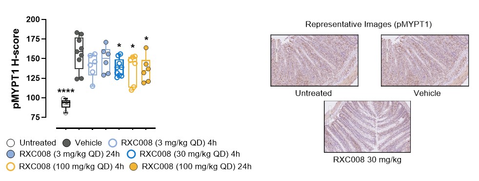figure19.jpg