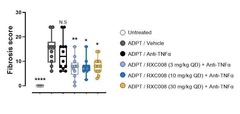 figure20.jpg