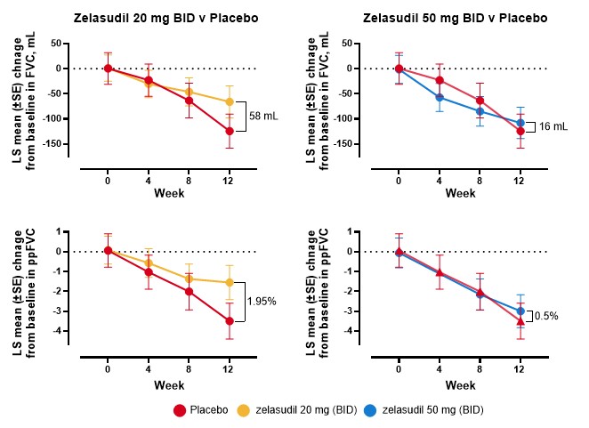 figure23.jpg