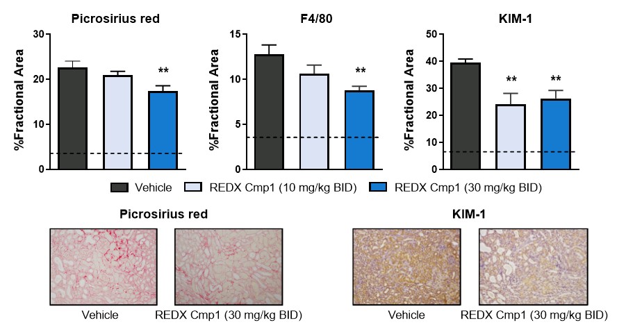 figure31.jpg