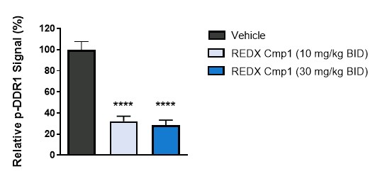 figure32.jpg
