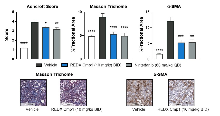 figure33.jpg