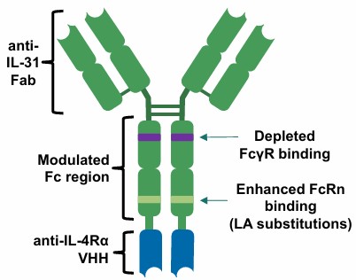 business6a.jpg