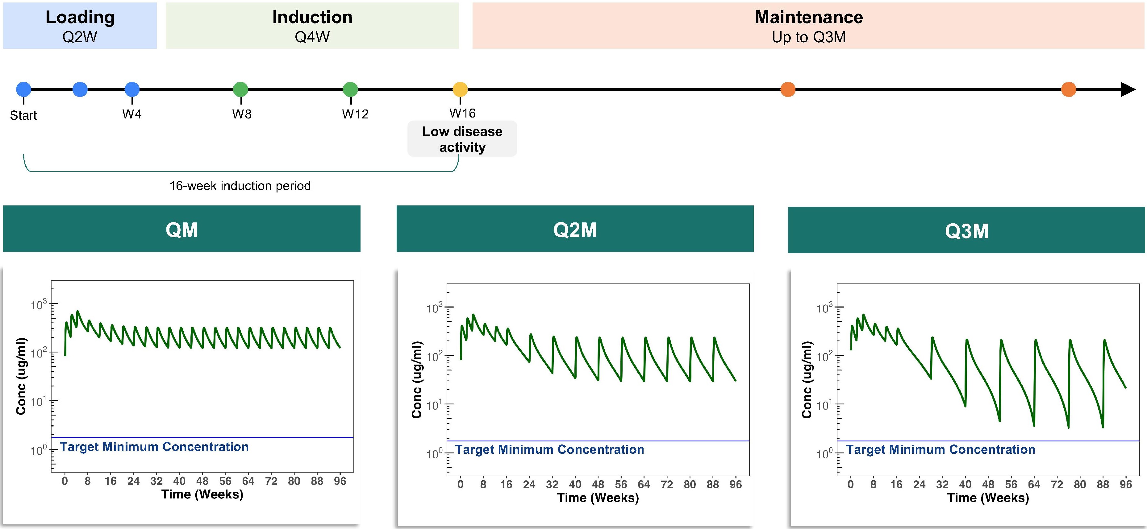 figure10.jpg